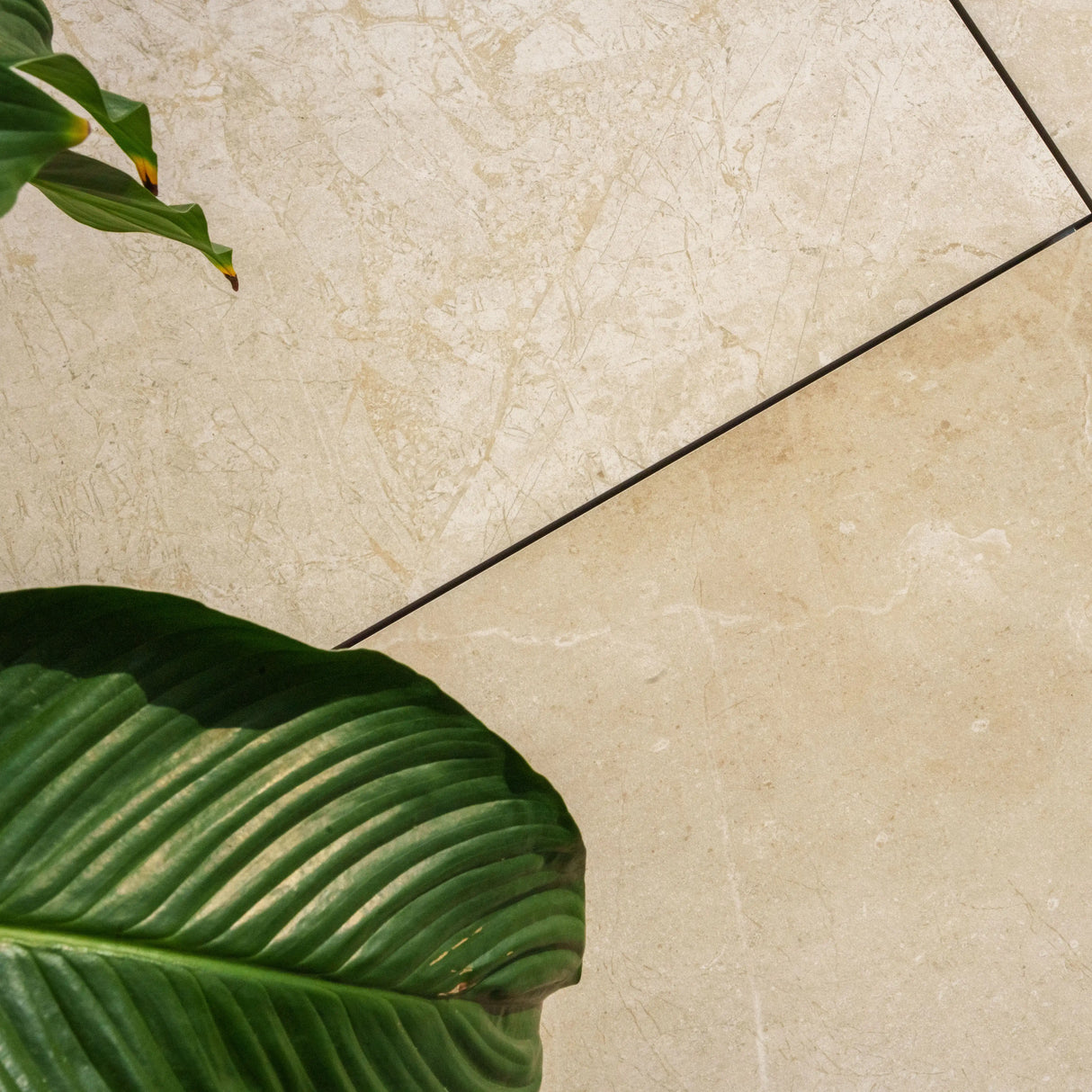 Terrassenplatte LUCA Natural 60x60x2cm (2er Set)