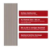 Akustikpaneel Premium Kiesel – Filz Schwarz 244 × 60 cm
