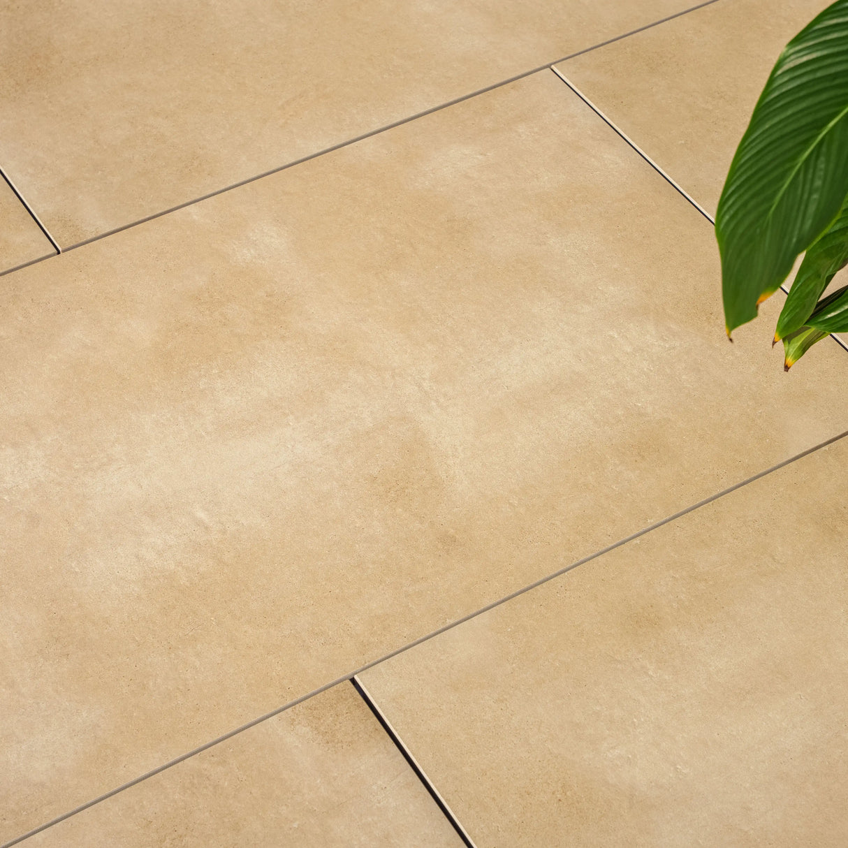 Terrassenplatte LUCA Grande Cream 120x60x2cm (2er Set)